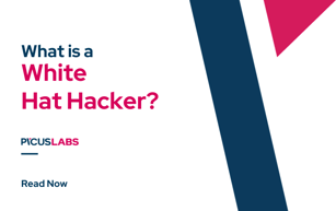What Is a White Hat Hacker?