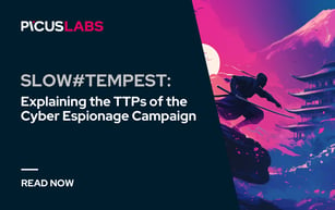 SLOW#TEMPEST: Explaining the TTPs of the Cyber Espionage Campaign