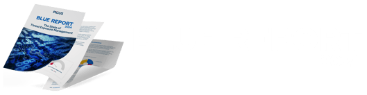 blue-report-2024