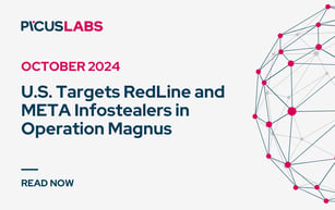 U.S. Targets RedLine and META Infostealers in Operation Magnus